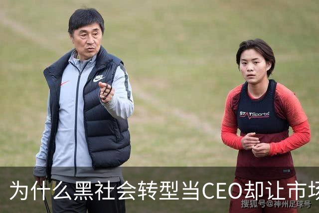 为什么黑社会转型当CEO却让市场更乱了