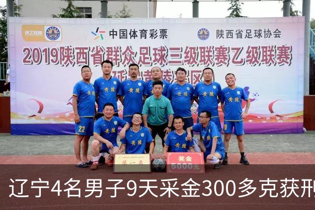 辽宁4名男子9天采金300多克获刑，村里砂土为何能淘金？土法筛金对人体和环境有何危害？