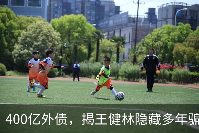 400亿外债，揭王健林隐藏多年骗局，因此独子王思聪走“不归路”